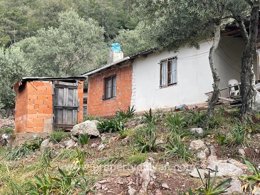 Field For sale in Ekincik Nbh. Köyceğiz - Olive Zoned - 7.000 m²