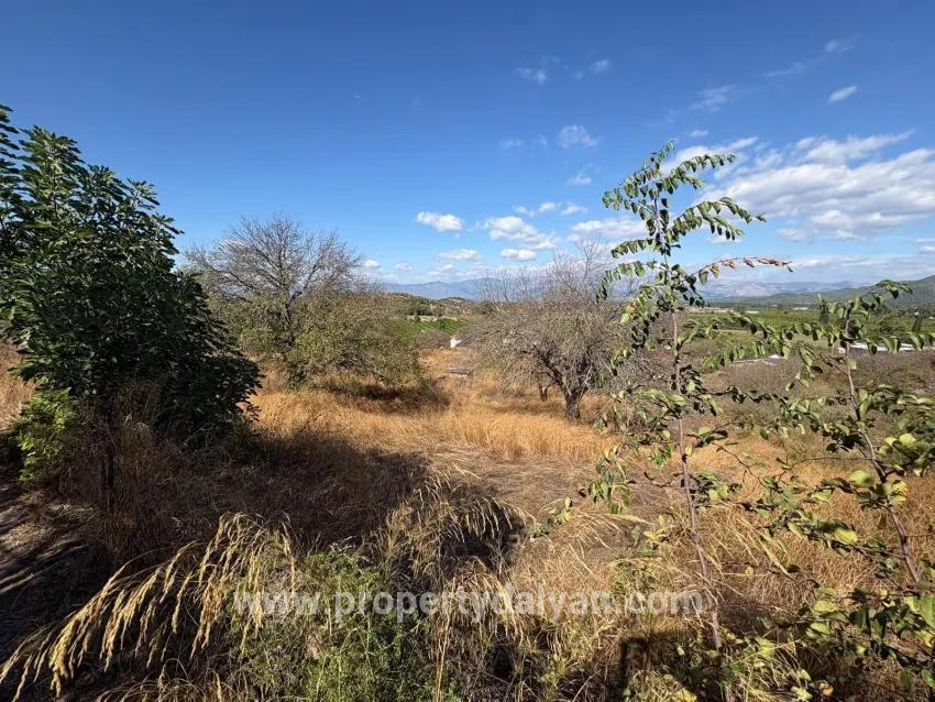 Field For sale in Dalyan Nbh. Ortaca - Field Zoned - 5.000 m²
