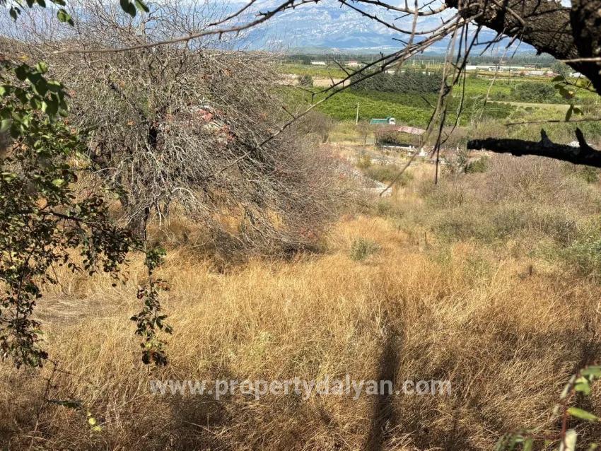 Field For sale in Dalyan Nbh. Ortaca - Field Zoned - 5.000 m²