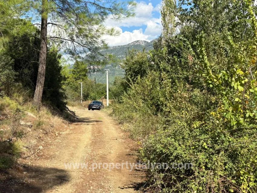 Field For sale in Zeytinalanı Nbh. Köyceğiz - Field Zoned - 10.500 m²