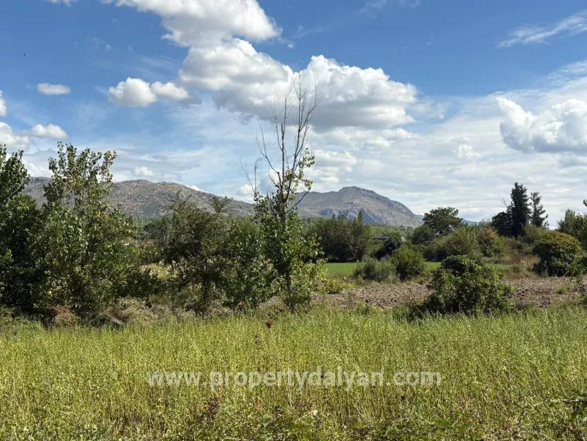 Field For sale in Zeytinalanı Nbh. Köyceğiz - Field Zoned - 10.500 m²