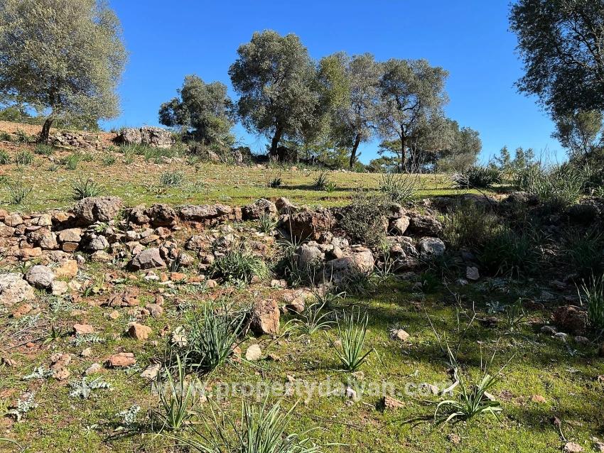Land For Sale In Gökbel, Surrounded By Nature And Forest.