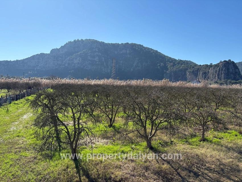 5985m2 Plot Of Land For Sale In Dalyan, Zoned For 5% Vineyard/orchard Use.