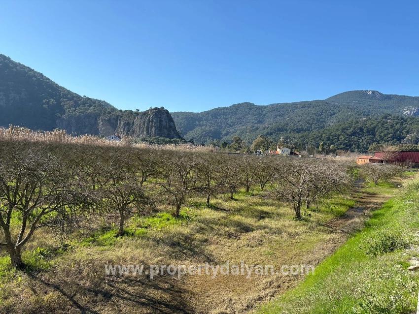 5985m2 Plot Of Land For Sale In Dalyan, Zoned For 5% Vineyard/orchard Use.