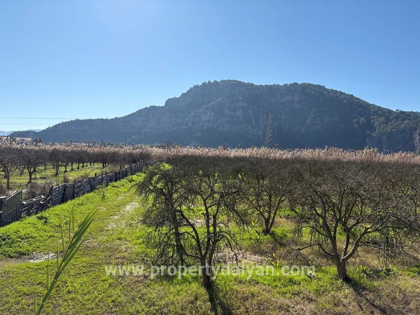 5985m2 Plot Of Land For Sale In Dalyan, Zoned For 5% Vineyard/orchard Use.
