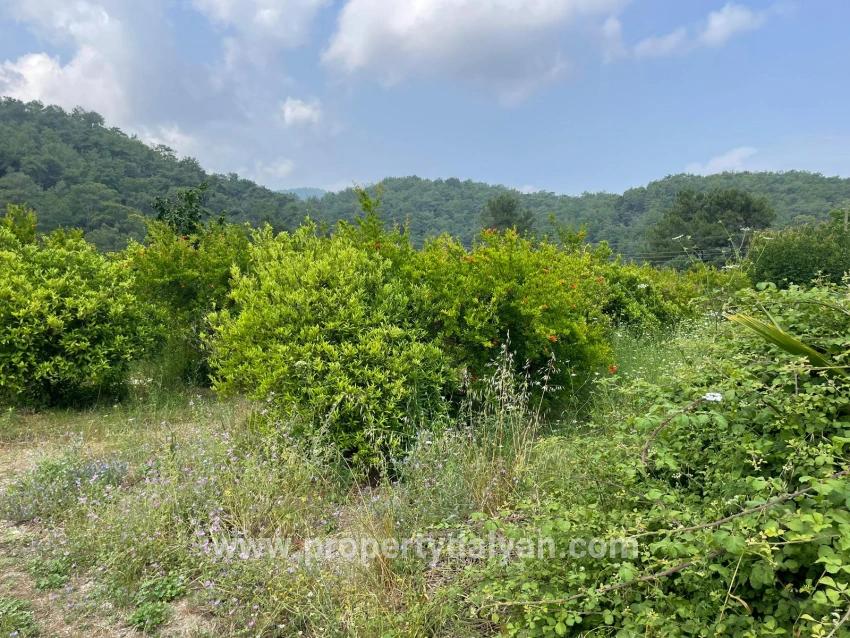 7800m2 Land For Sale In Gökbel, Next To Iztuzu Beach Road