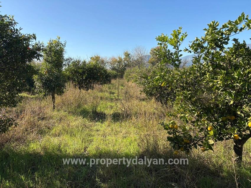 4,541 M² Garden For Sale In Dalyan.