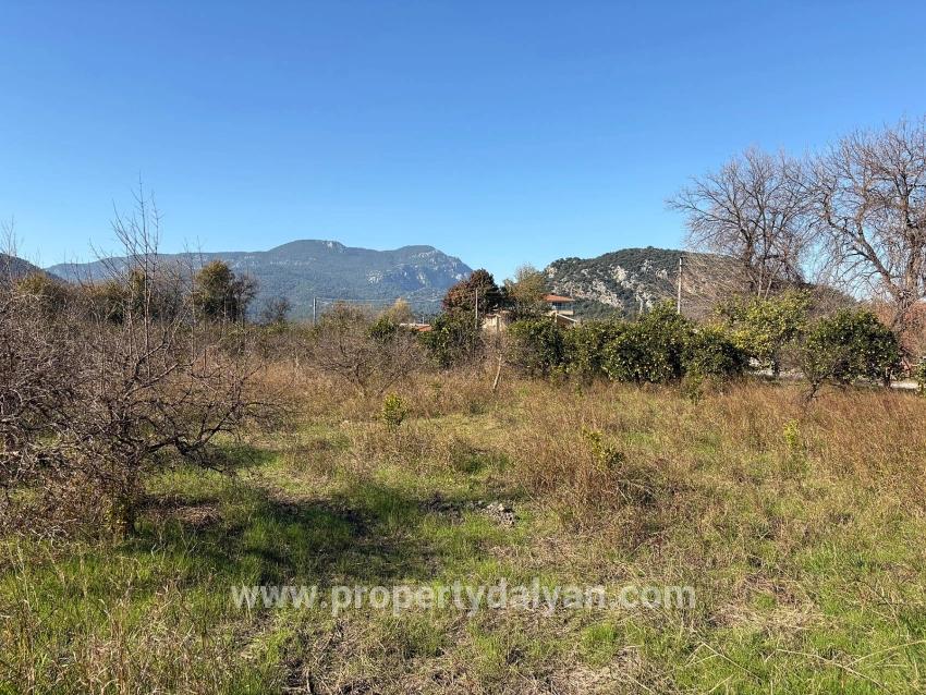 4,541 M² Garden For Sale In Dalyan.