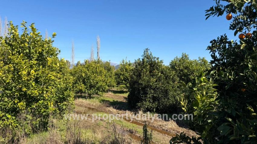 2.218m2 Land For Sale In Okçular Marmarlı
