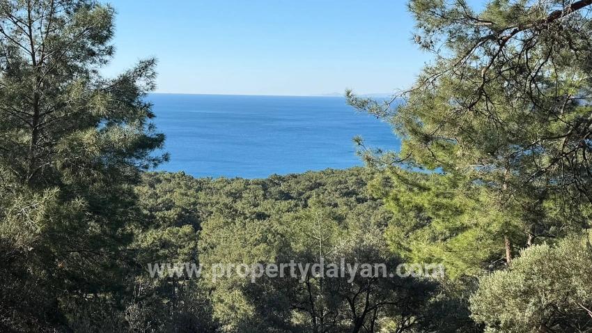 Field For sale in Çandır Nbh. Köyceğiz - Housing Zoned - 5.715 m²