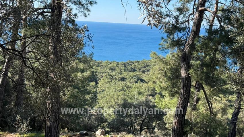 Field For sale in Çandır Nbh. Köyceğiz - Housing Zoned - 5.715 m²
