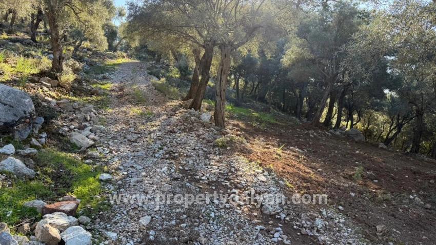 Field For sale in Çandır Nbh. Köyceğiz - Housing Zoned - 5.715 m²