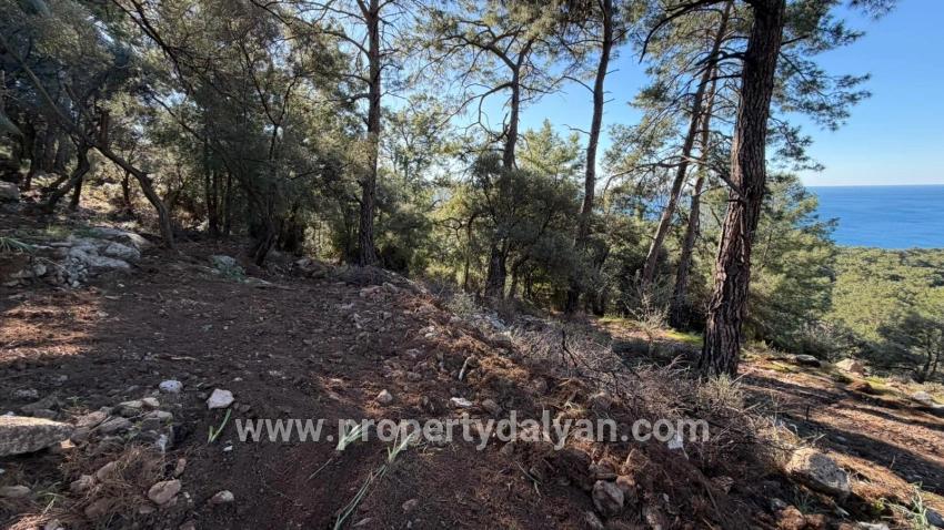 Field For sale in Çandır Nbh. Köyceğiz - Housing Zoned - 5.715 m²