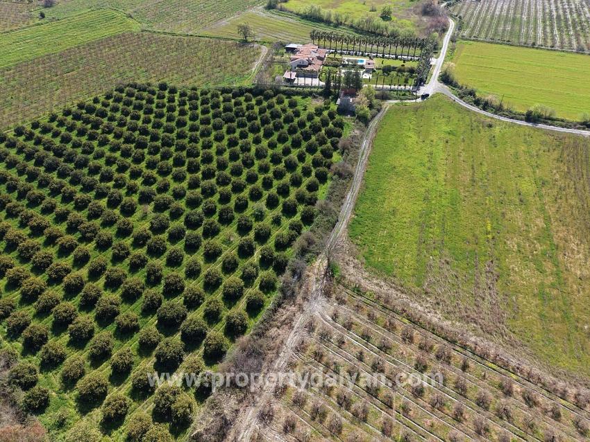 17.550m2 Vineyard-bahce For Sale Close To Dalyan Center