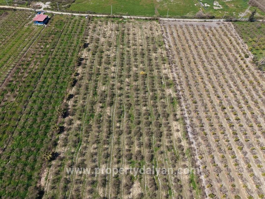 16.710m2 Pomegranate Garden For Sale With Lake View In Eskiköy