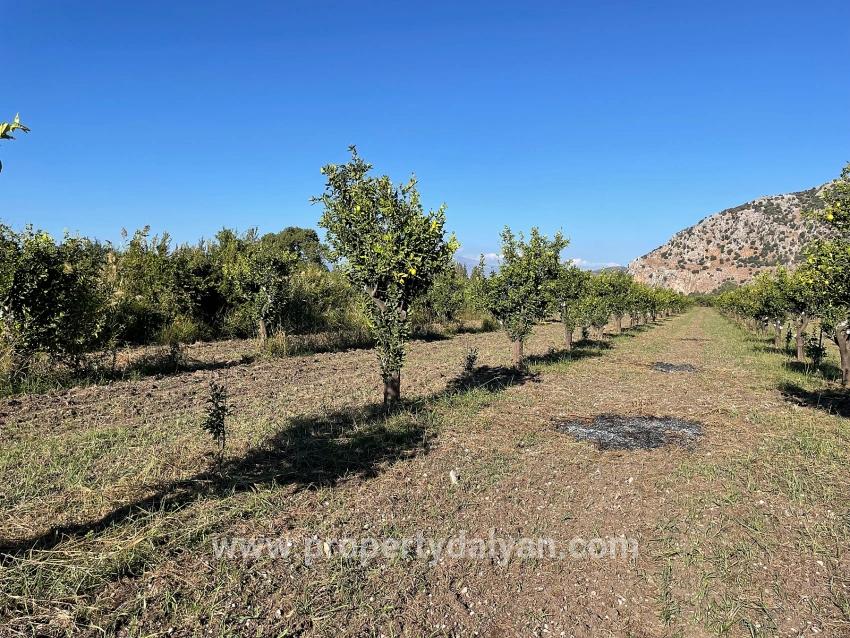 6600m2 Plot Of Land For Sale Near The Center Of Dalyan.