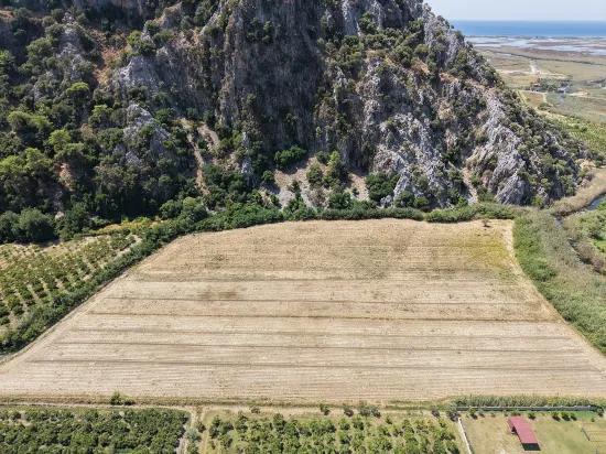 In Dalyan, a 20.786m2 field for sale