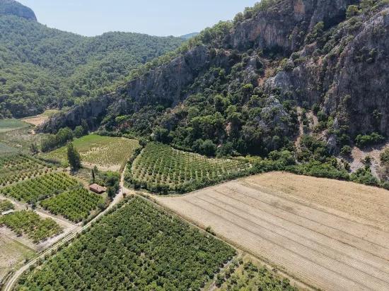 In Dalyan, a 20.786m2 field for sale