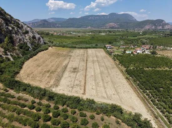 In Dalyan, a 20.786m2 field for sale