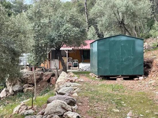 Köyceğiz Ekincik sea view 7.000m2 2b for sale olive grove