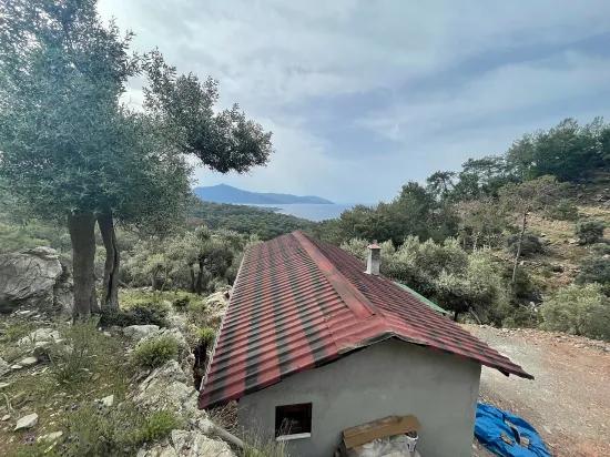 Köyceğiz Ekincik sea view 7.000m2 2b for sale olive grove