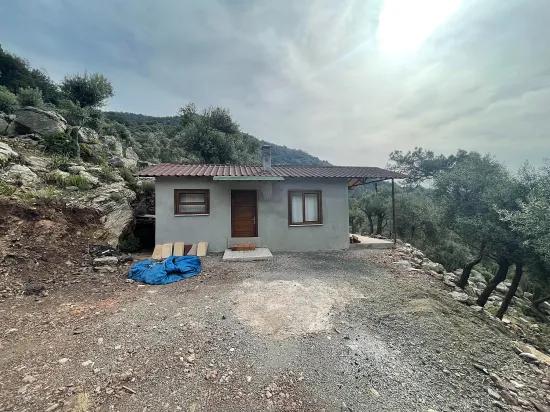 Köyceğiz Ekincik sea view 7.000m2 2b for sale olive grove