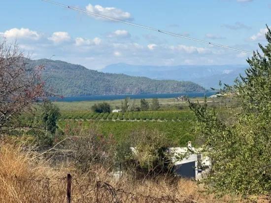 Field for sale, 5.000m2, with lake view In Dalyan, Karadağ