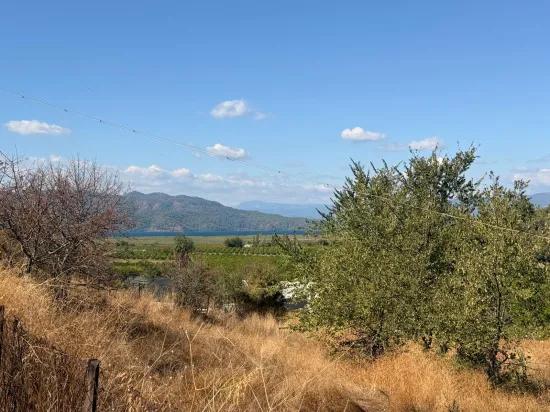 Field for sale, 5.000m2, with lake view In Dalyan, Karadağ