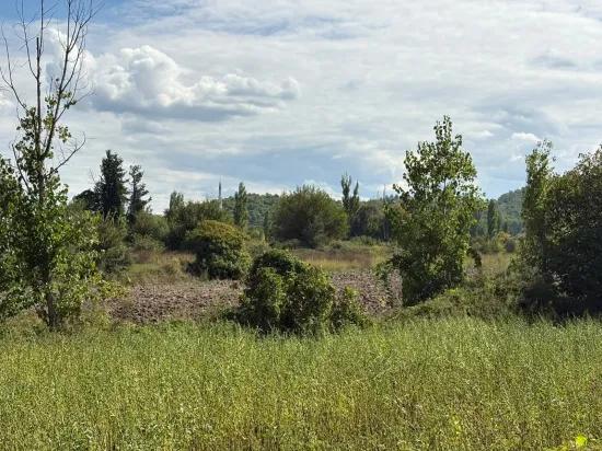 10.500 m2 field for sale In Köyceğiz Zeytinalanı