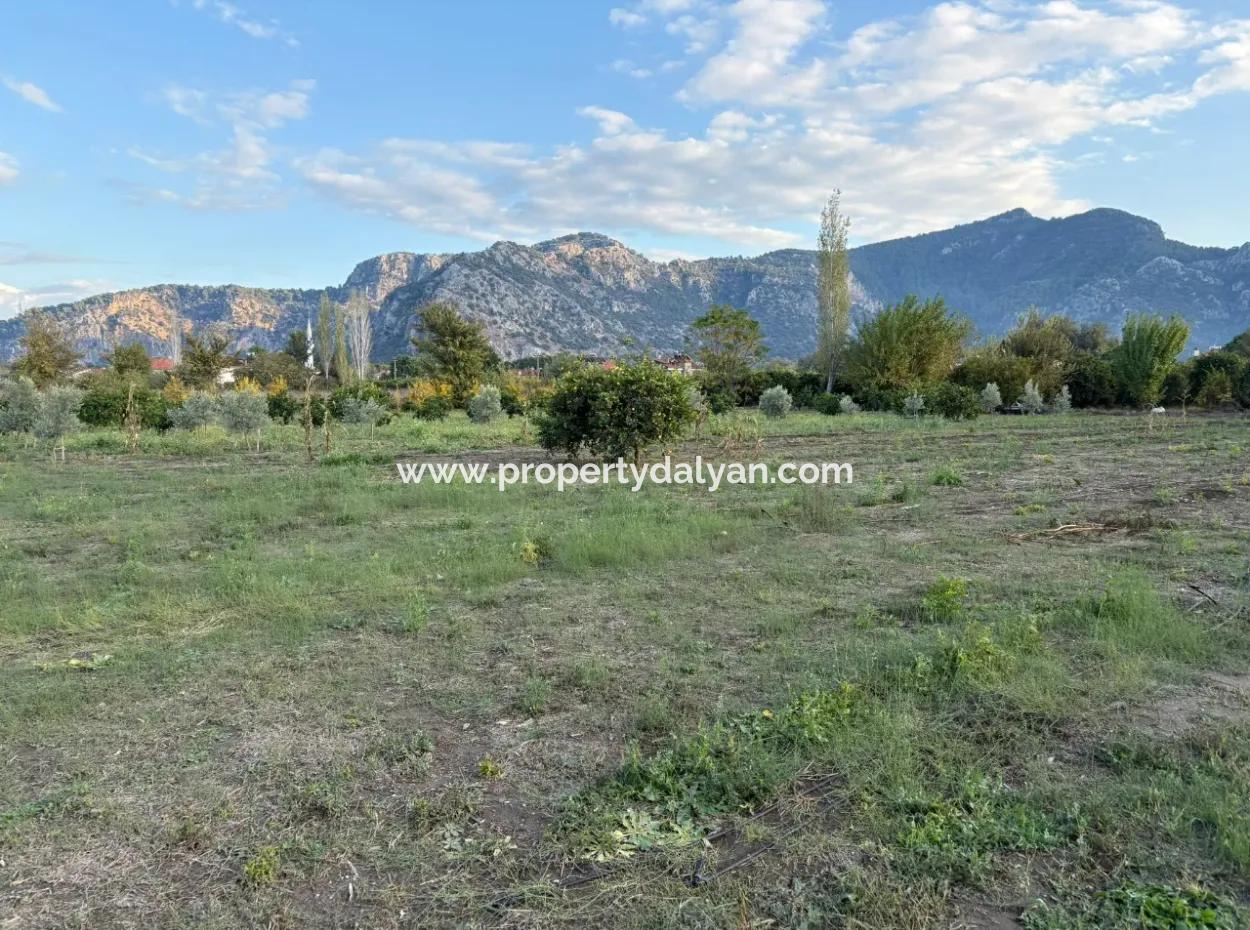 7,450M2 Land For Sale Close To The Center Of Dalyan