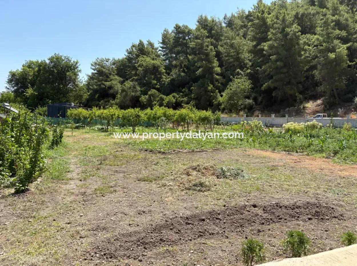 120M2 Detached Wooden House In A 2500M2 Field In Dalyan Karadağ