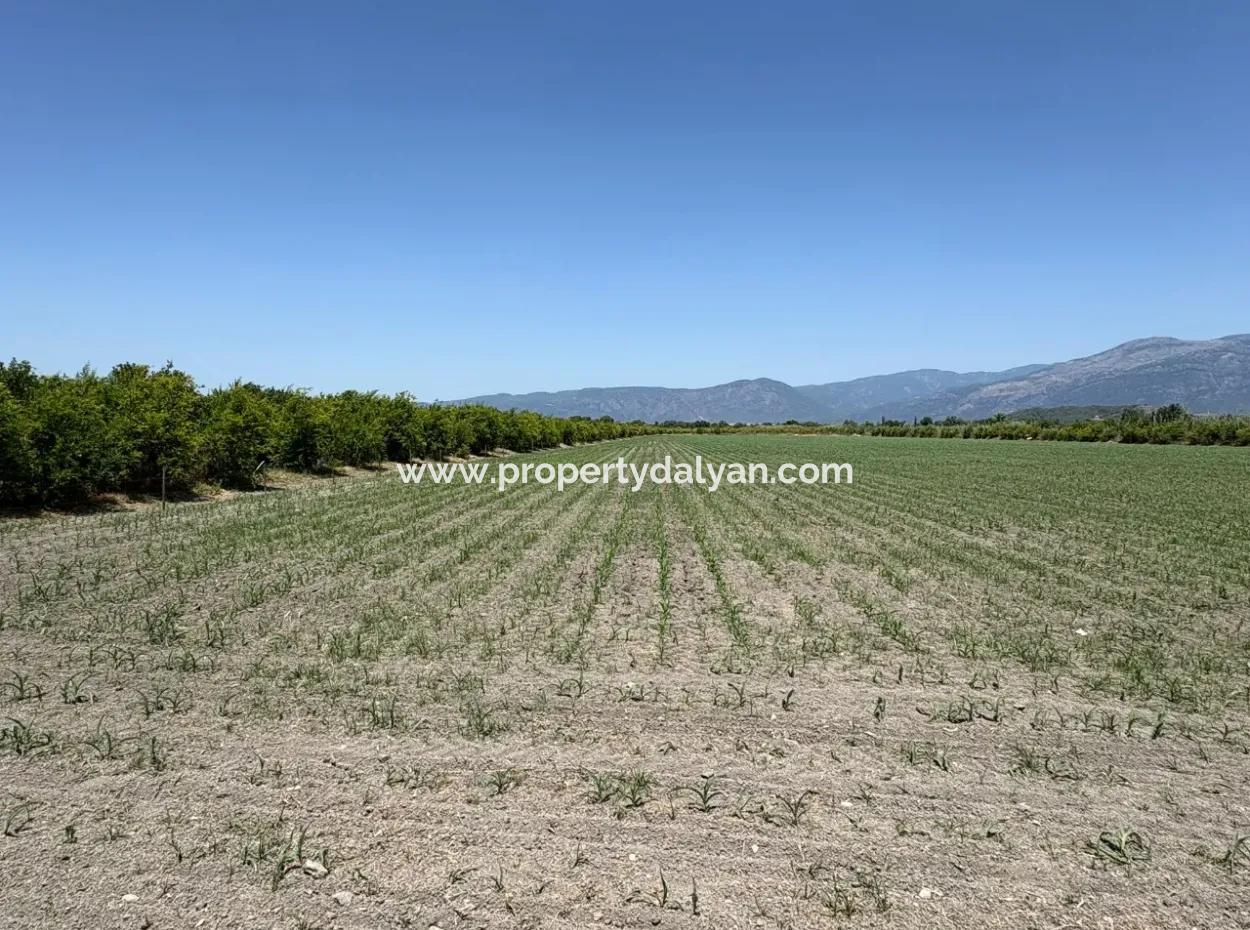 46,550M2 Land For Sale In Tepearası