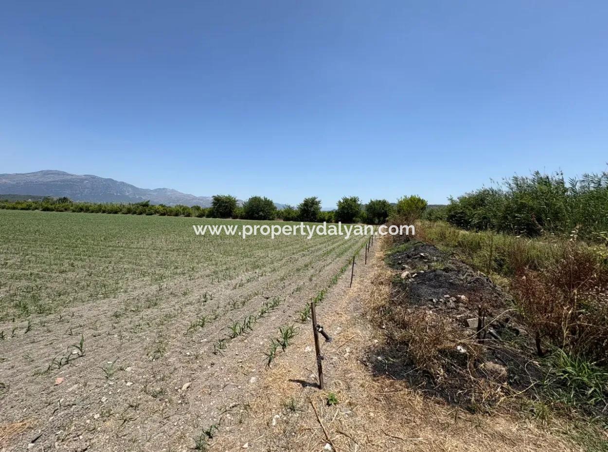 46,550M2 Land For Sale In Tepearası