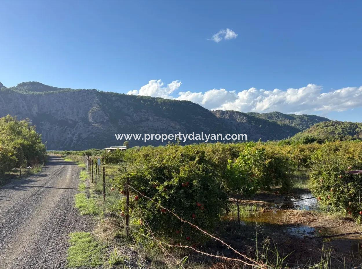 3900M2 Land For Sale In Ortaca Yeşilyurt