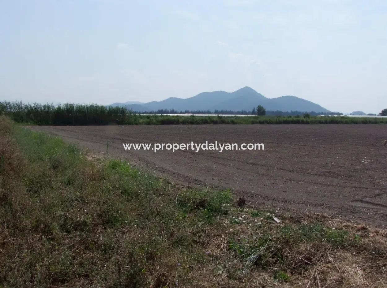 Farm For Sale In Dalyan Eskikoy Eskikoy Oriya 14,900M2 Plot For Sale Field
