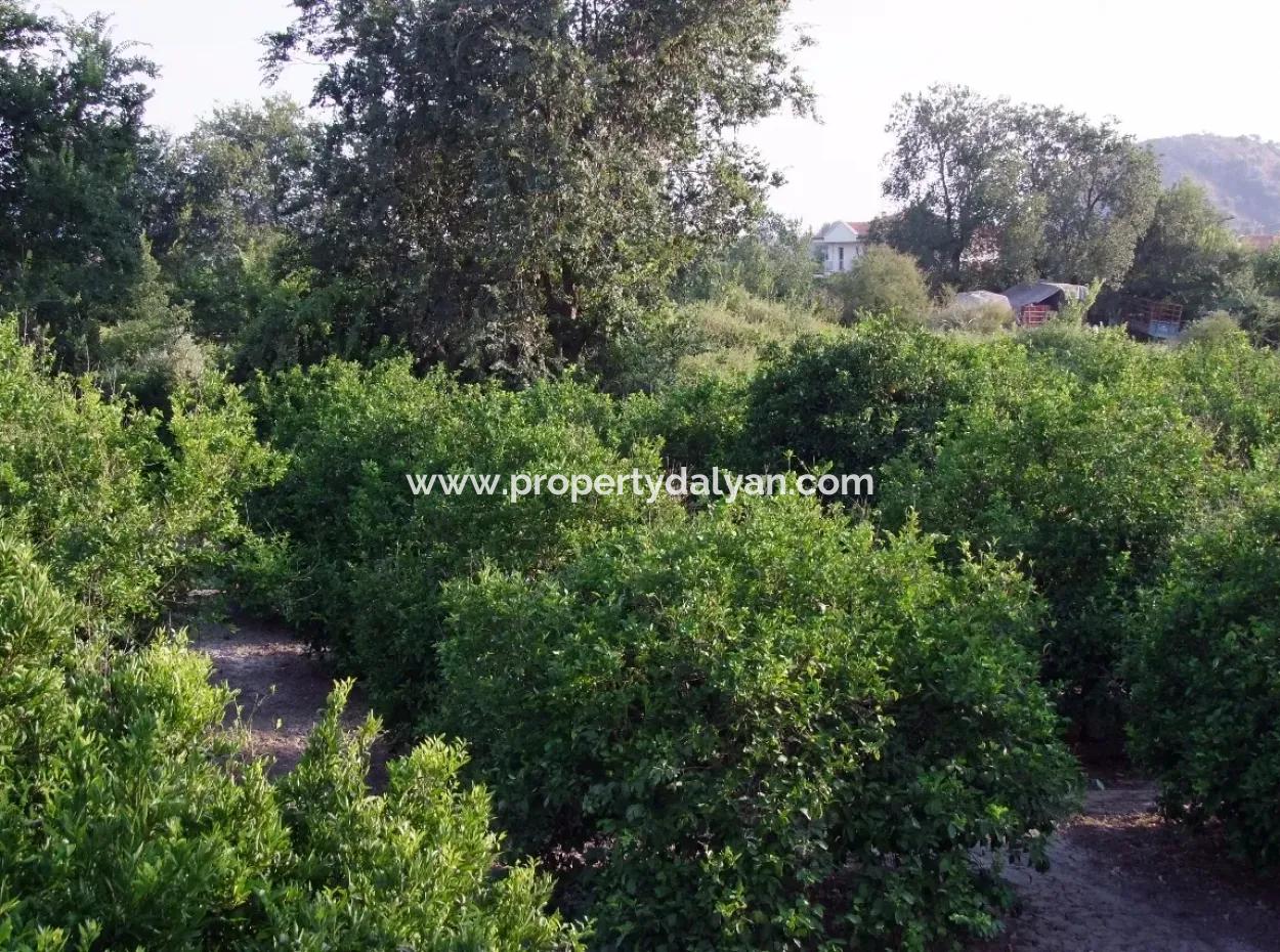 Near The Centre Of Dalyan In Dalyan Plot For Sale For Sale 987M2