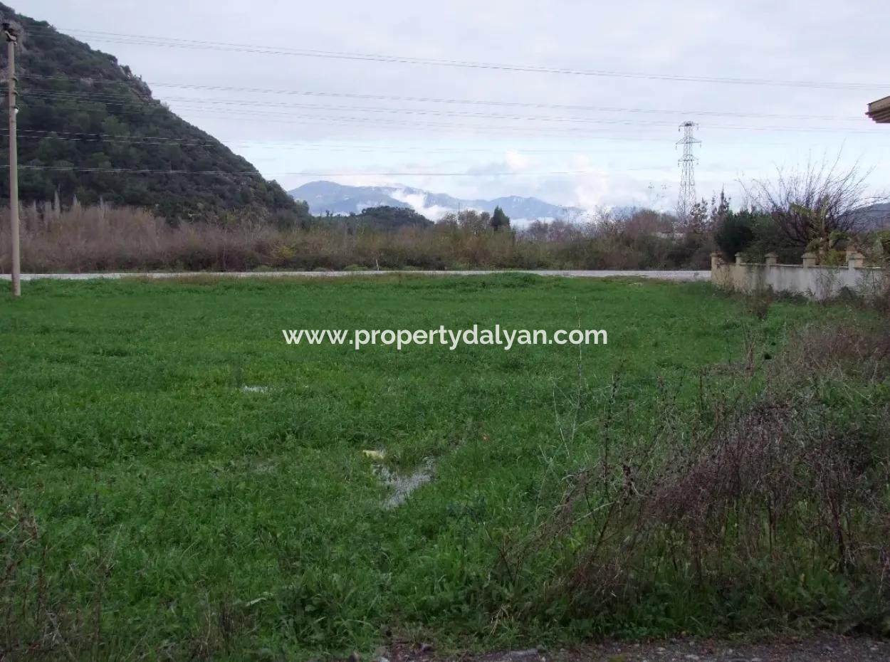Gulpinar Dalyan Dalyan For Sale In 1002M2 Plot For Sale For Sale Cornerstone