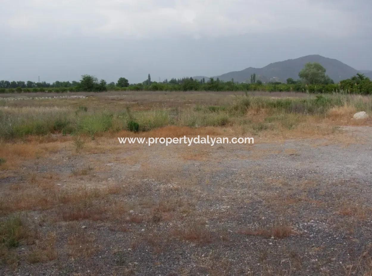 Commercial Plot For Sale In Dalyan, Dalyan On Highway 17,805M2 Plot For Sale Bargain