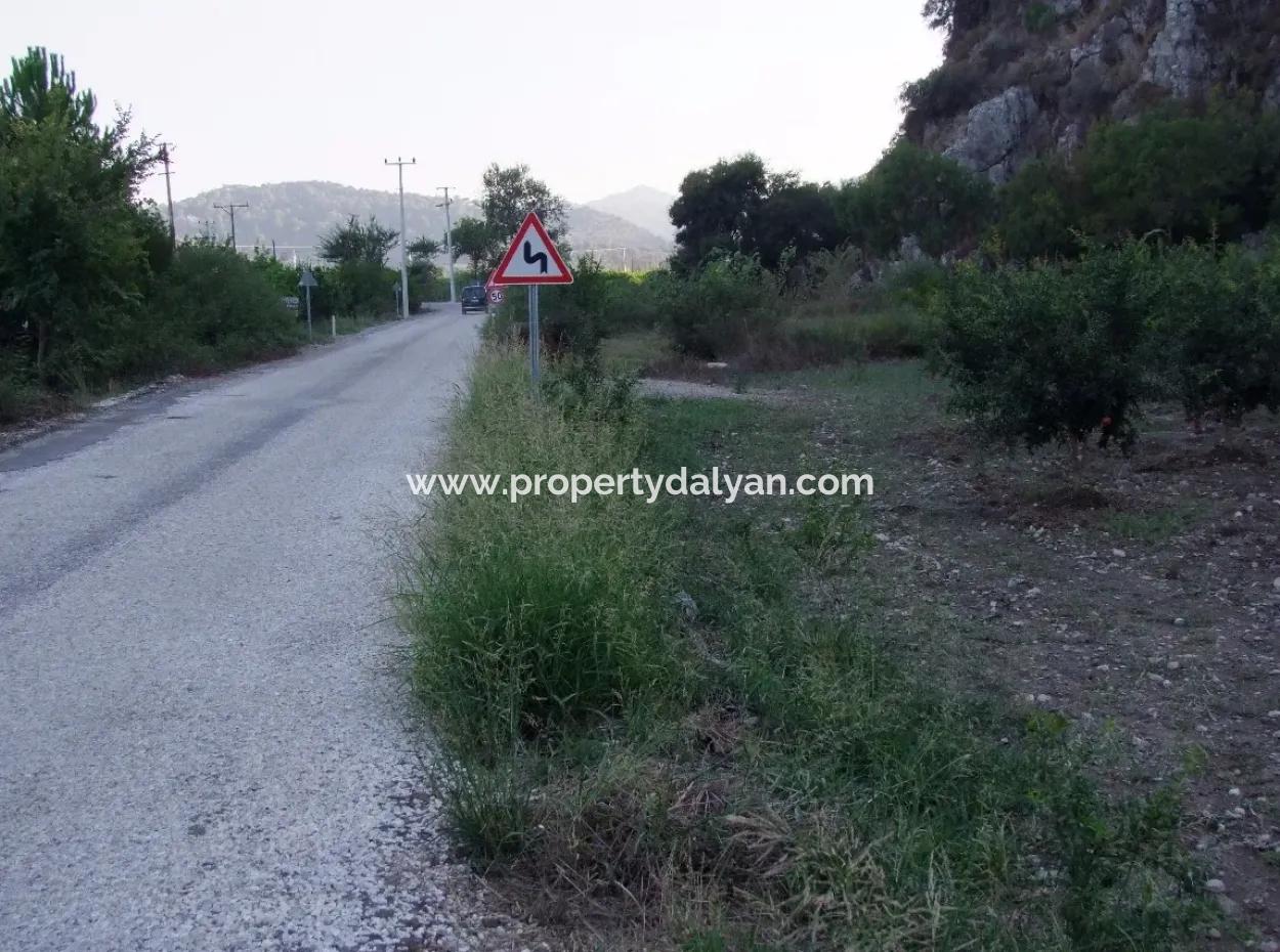 Plot For Sale In Pomegranate Garden For Sale In Oriya Mergenli Mergenli