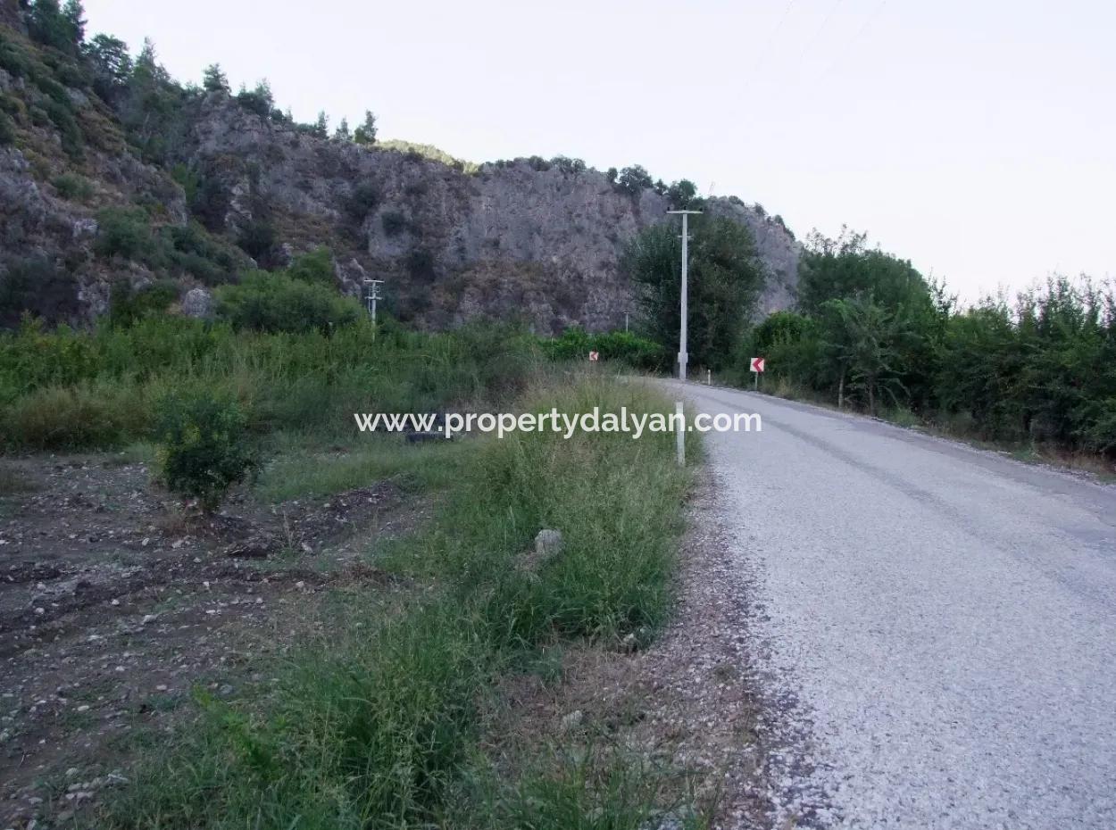 Plot For Sale In Pomegranate Garden For Sale In Oriya Mergenli Mergenli