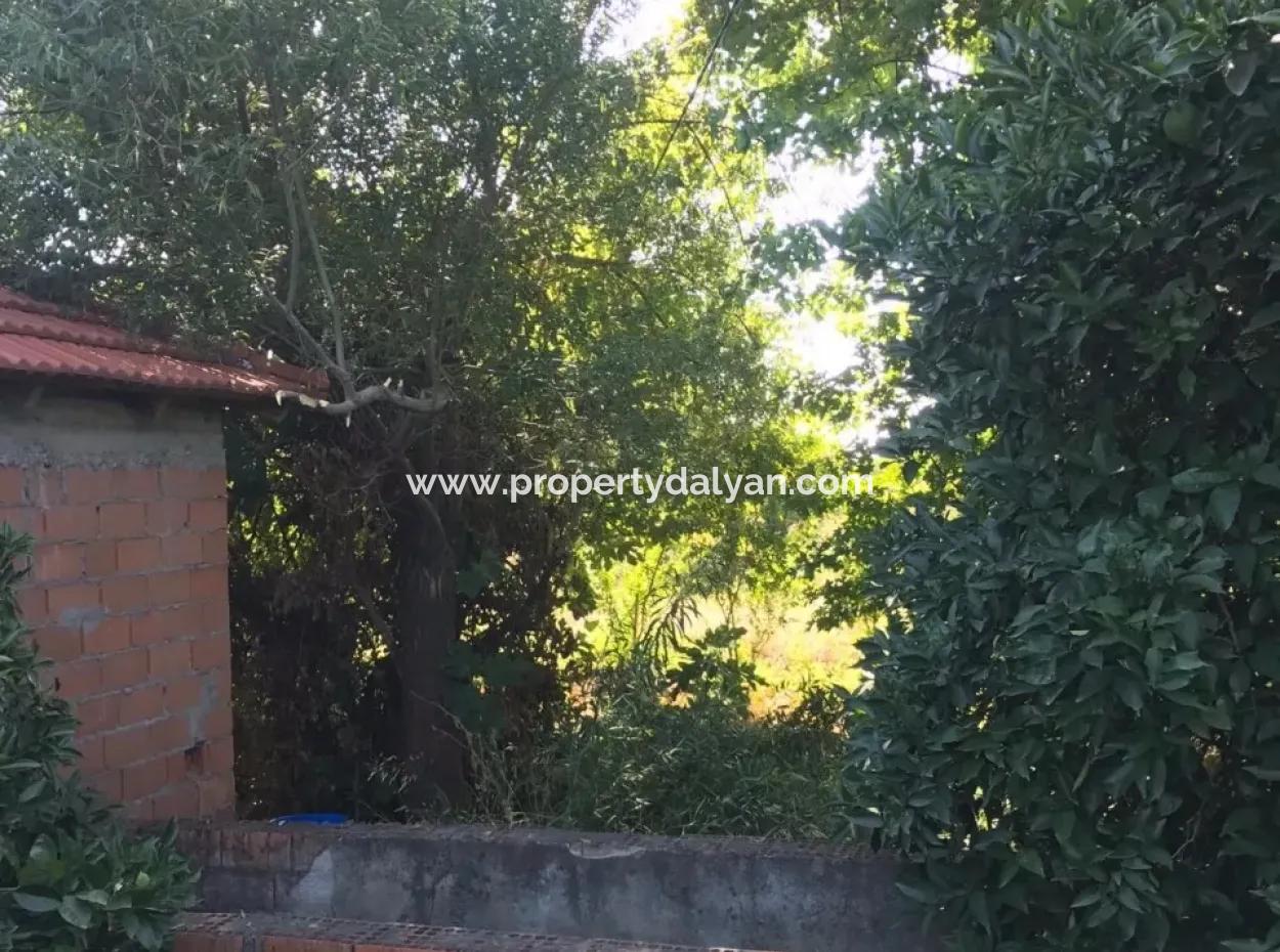 For Sale In Köyceğiz For Sale In Dogusbelen Dogusbelen Narenc