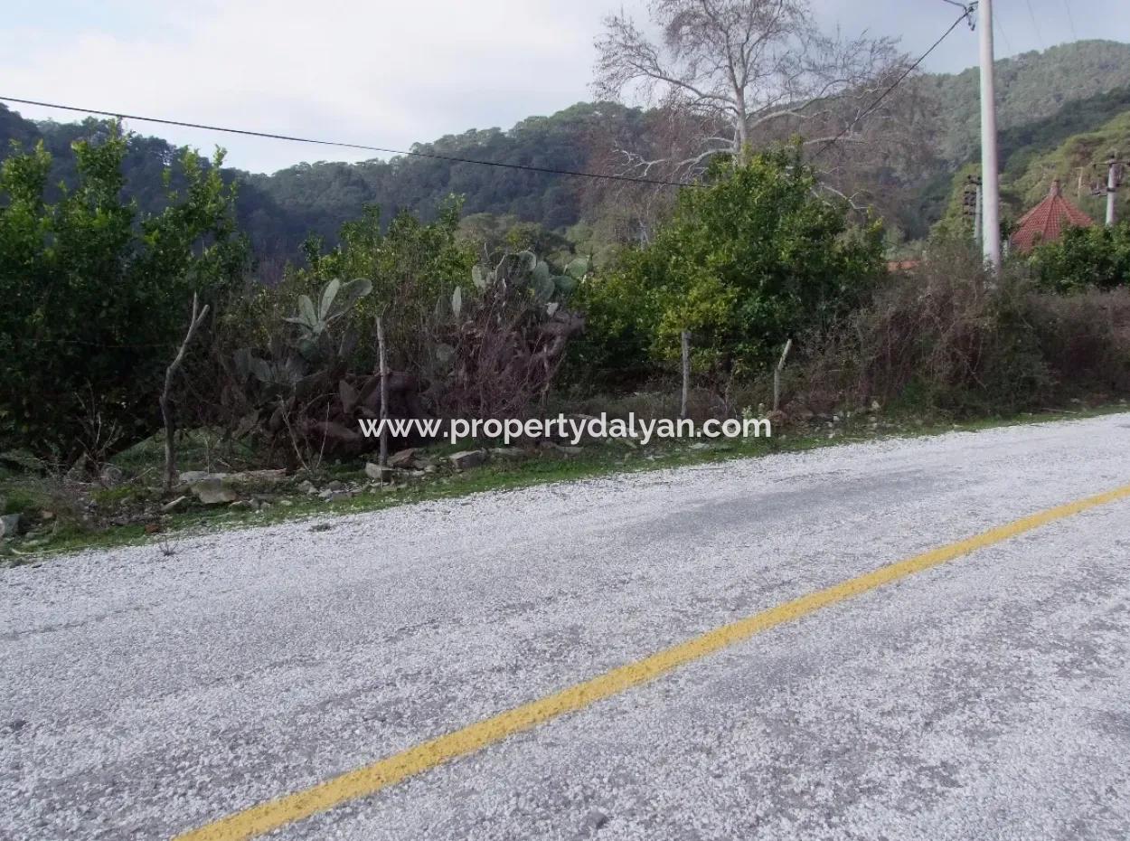 For Sale In Koycegiz, Dalyan Plot For Sale 10629M2