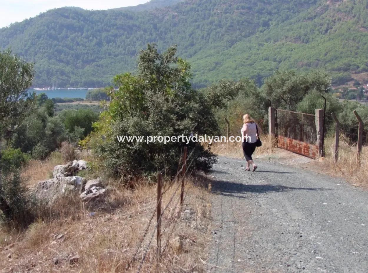 For Sale In Ekincik 5,391M2 Plot For Sale