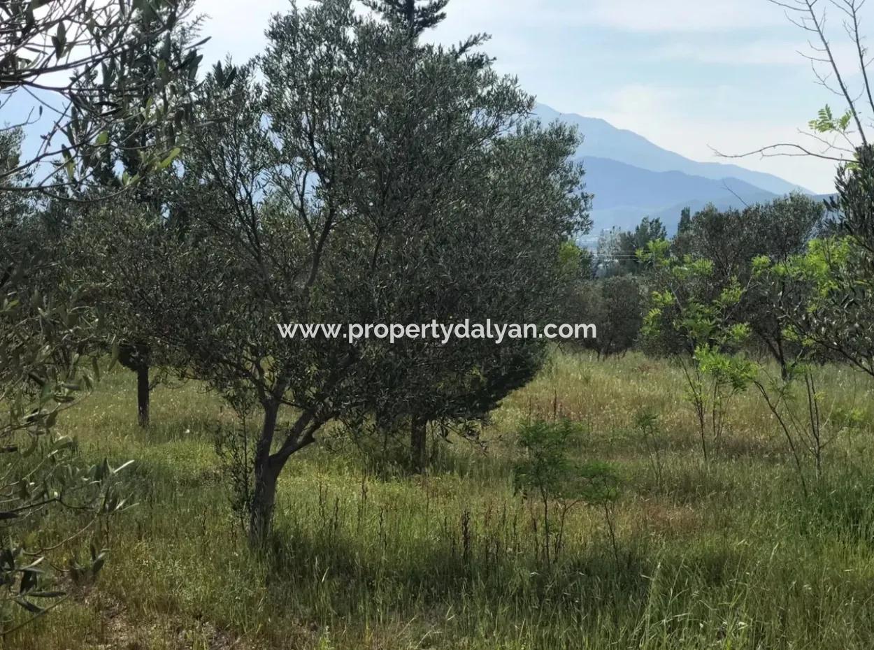 Land For Sale In Seydikemer Korubuku 76000M2