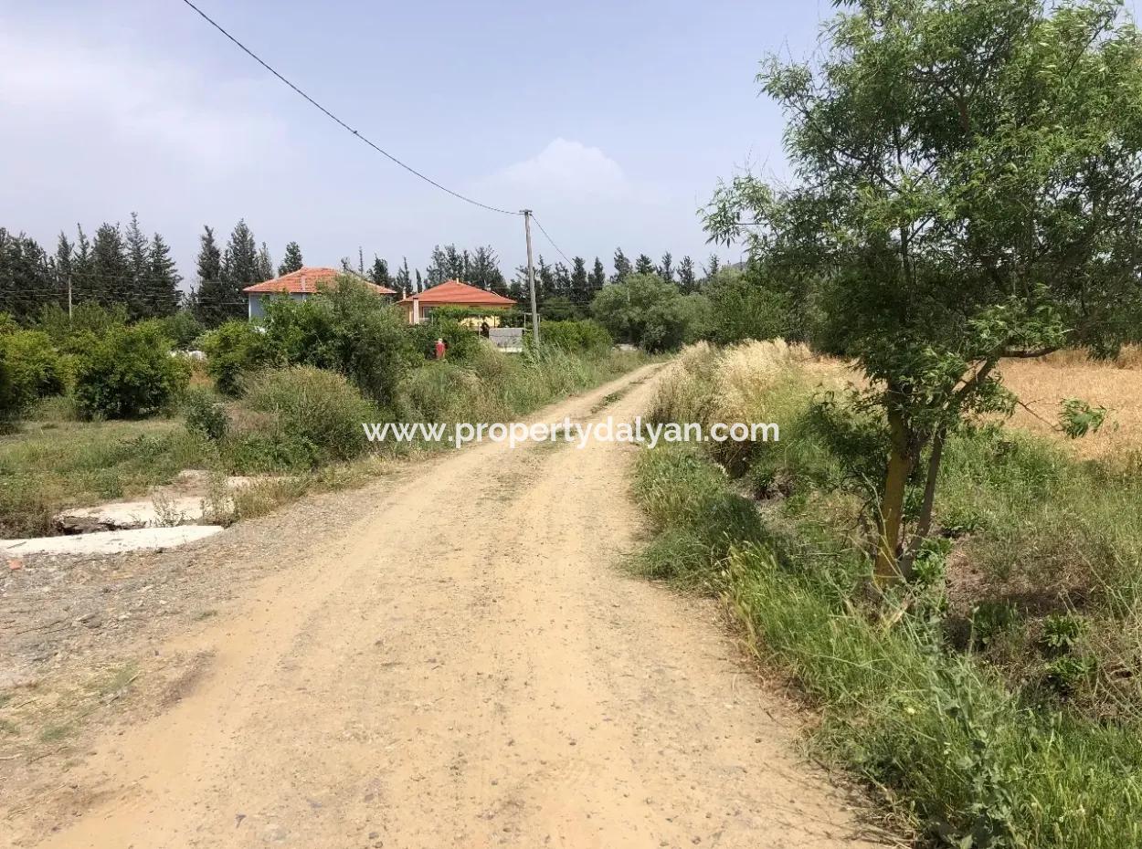 Farm Land For Sale 39 Acres In Eskikoy