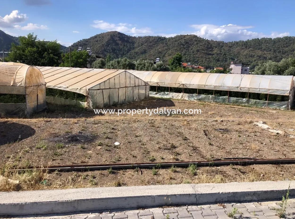 Oriya 560 560 Sq Ft Plot For Sale Commercial Land Main Road For Sale Eksiliyurt Zero