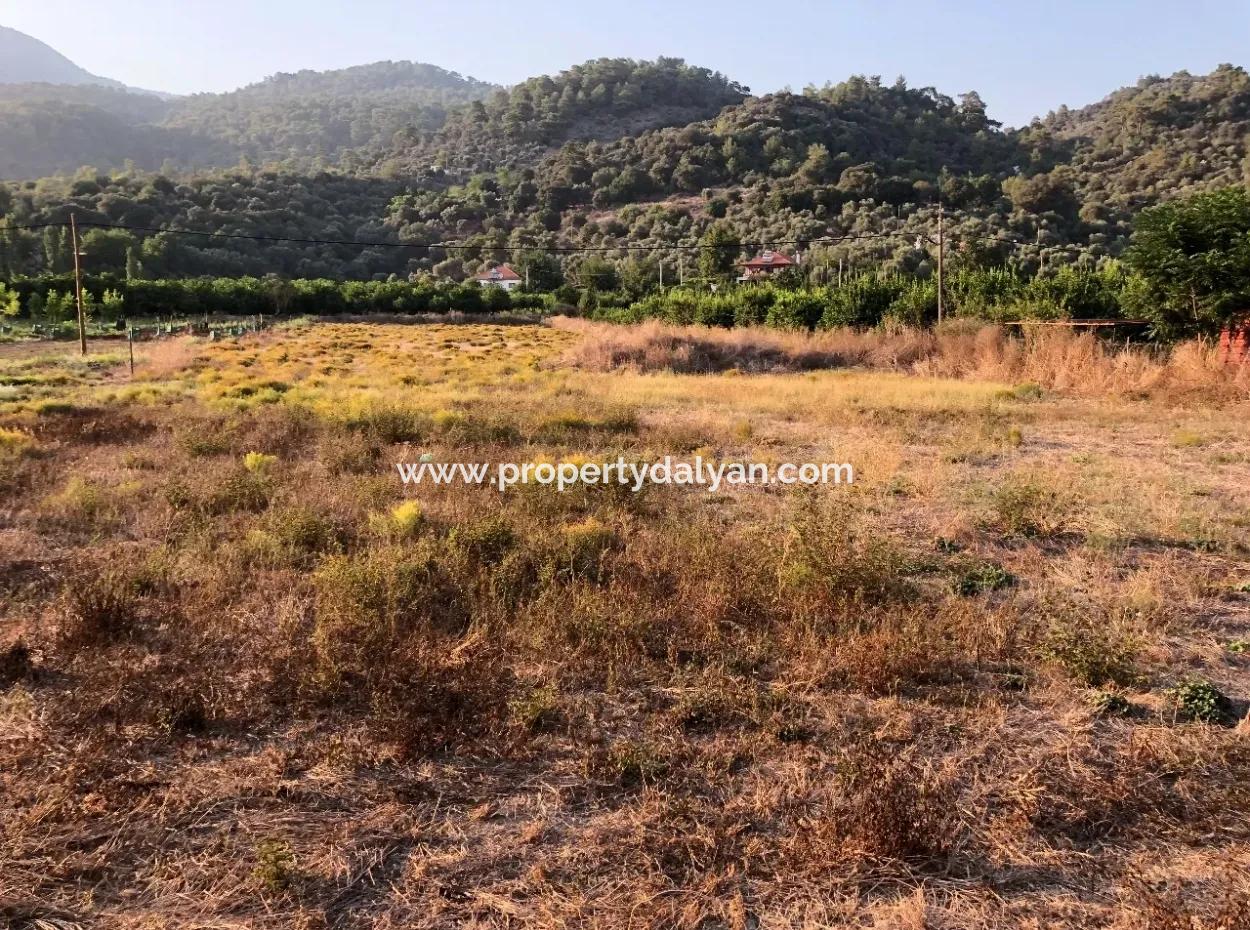 2300M2 Land For Sale Near The Center Of The Land For Sale