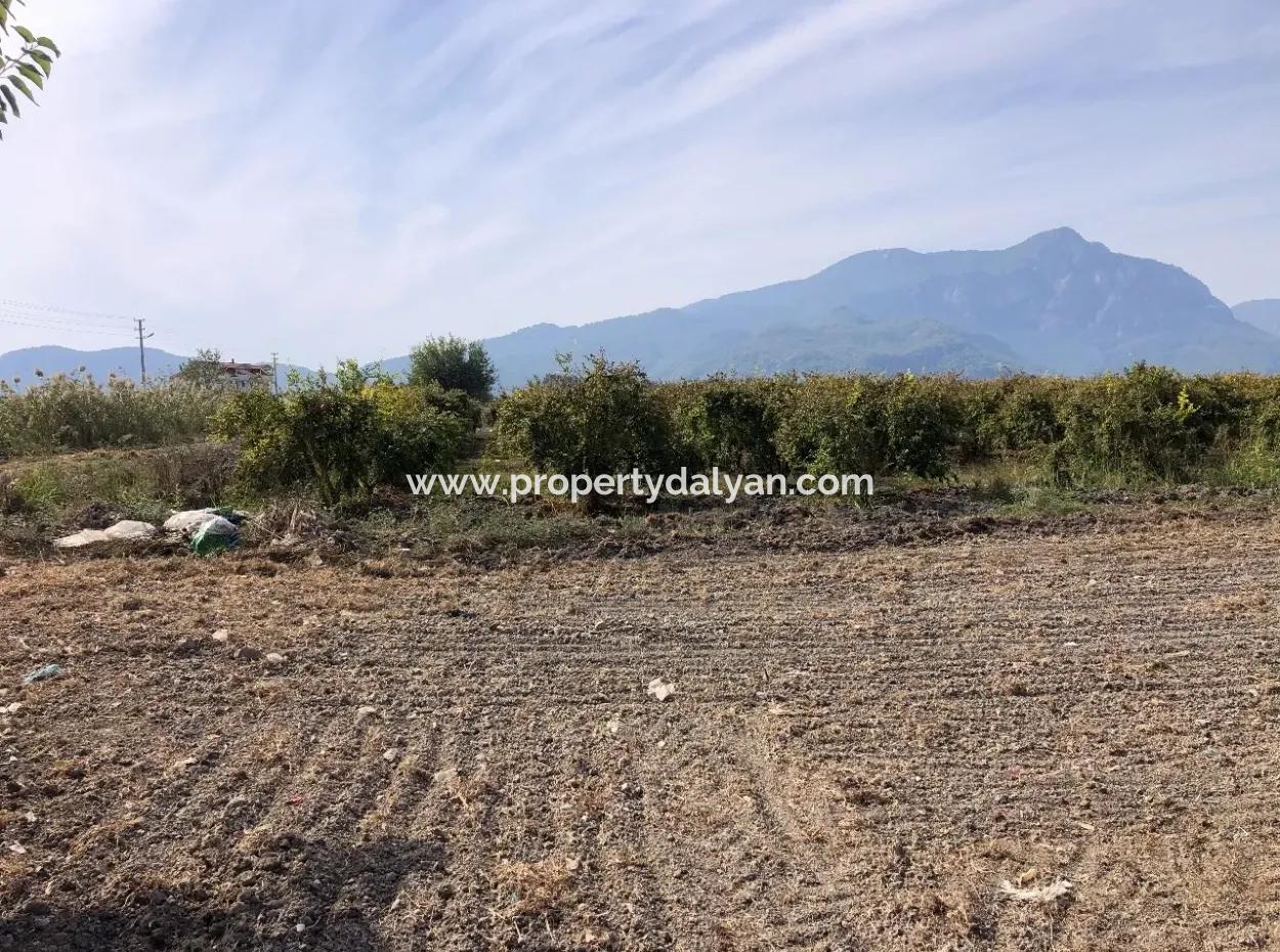Land For Sale In Esköy 8500M2 Field Land For Sale