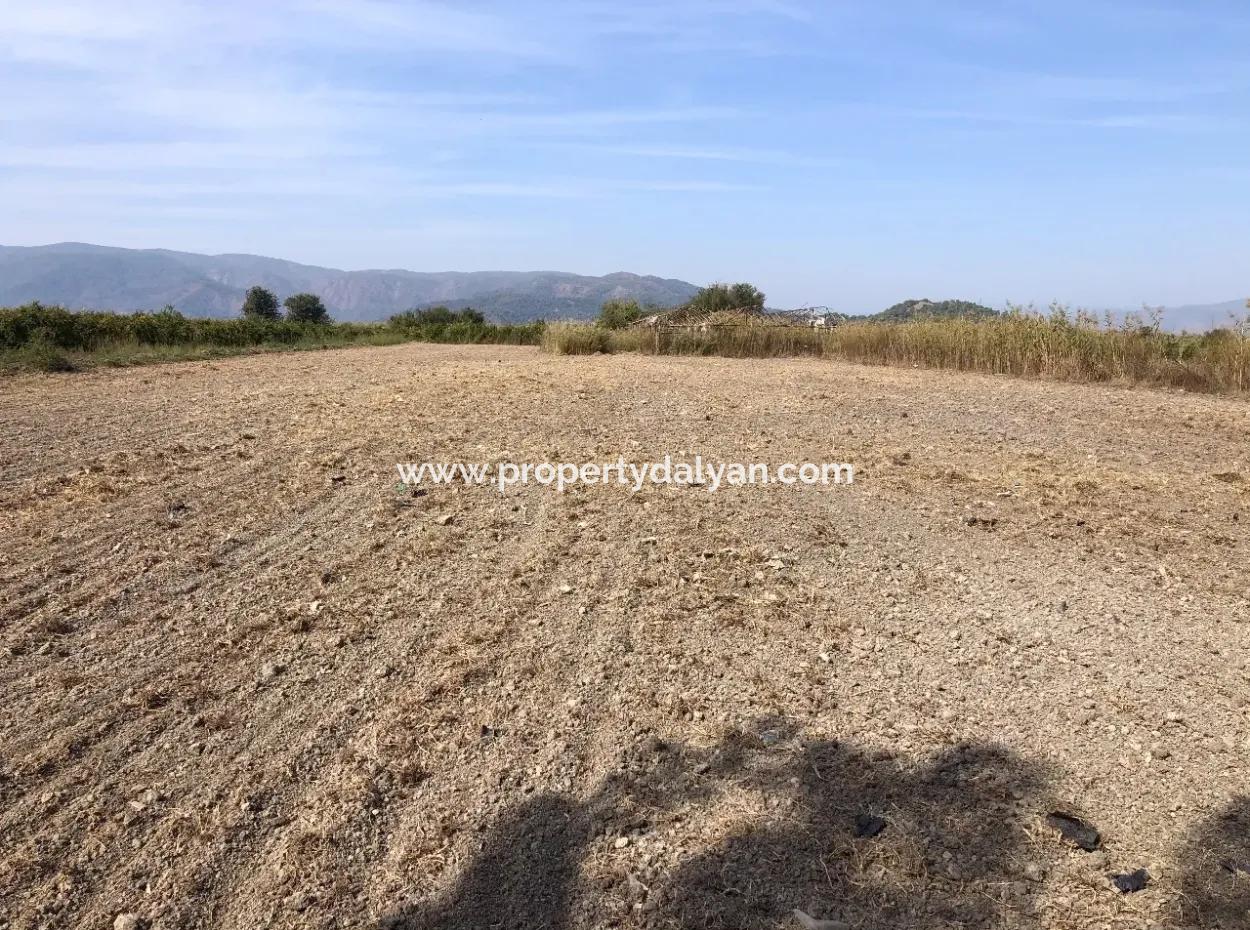 Land For Sale In Esköy 8500M2 Field Land For Sale