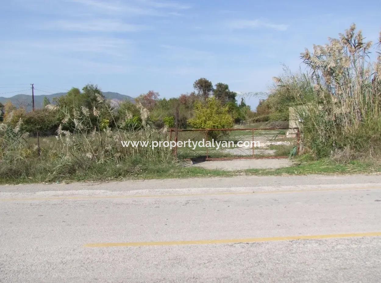 Land For Sale In Guzelyurt Land For Sale Zero 5515M2 Land For Sale On The Main Road
